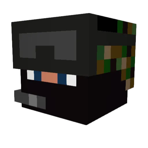 tmb_backfl1p Minecraft avatar head, 3D render