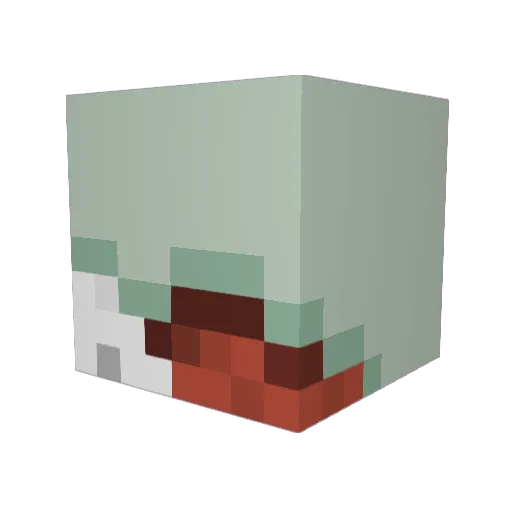 tmdgus0123 Minecraft avatar head, 3D render