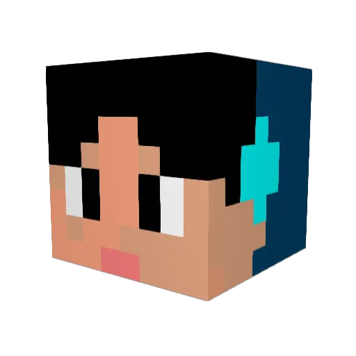 tmdtmdtmdRp Minecraft avatar head, 3D render