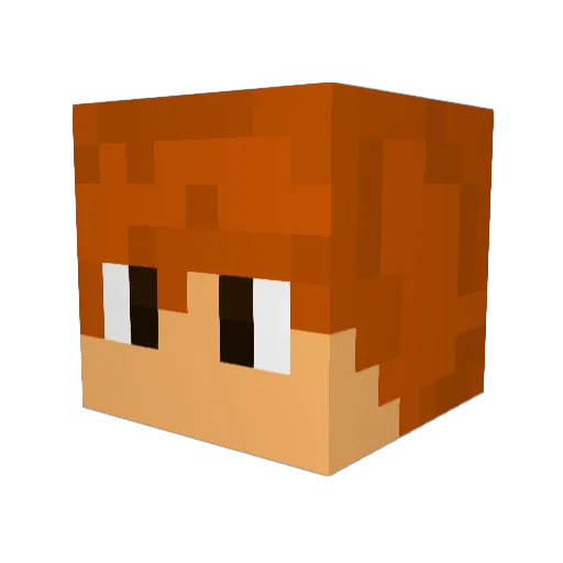 tmfms12 Minecraft avatar head, 3D render
