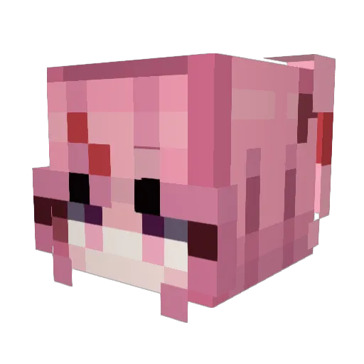 tmmu Minecraft avatar head, 3D render