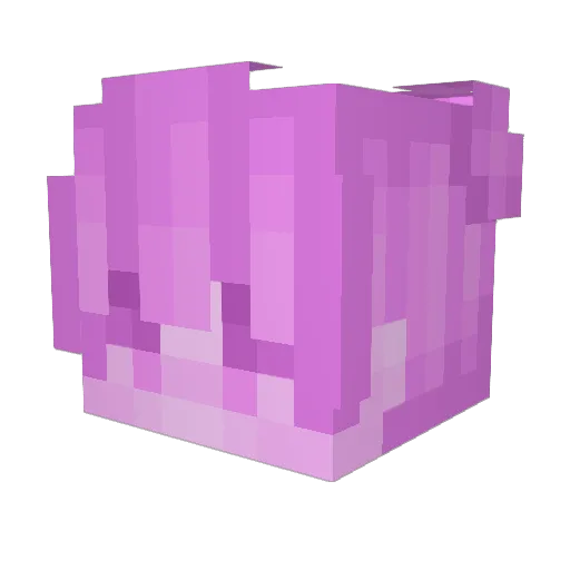tmnt201 Minecraft avatar head, 3D render