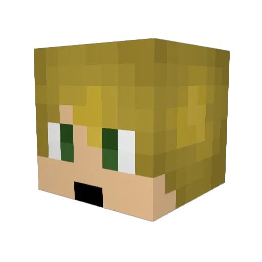 tmoney3 Minecraft avatar head, 3D render