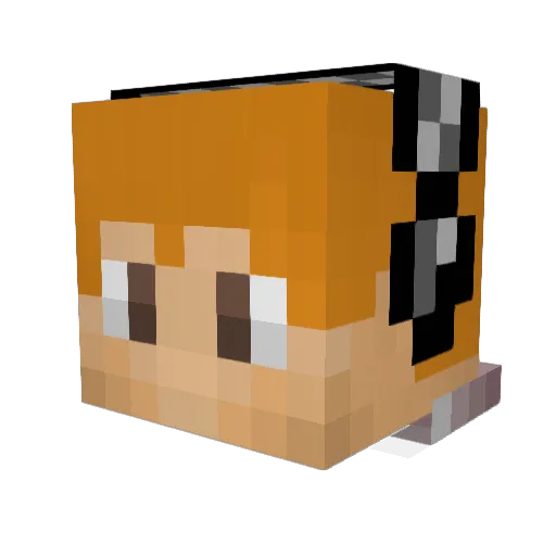 tmpcraft Minecraft avatar head, 3D render