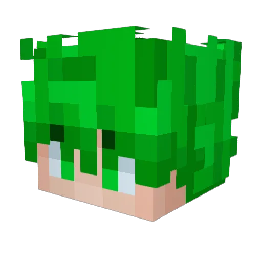 tmsTokoh Minecraft avatar head, 3D render