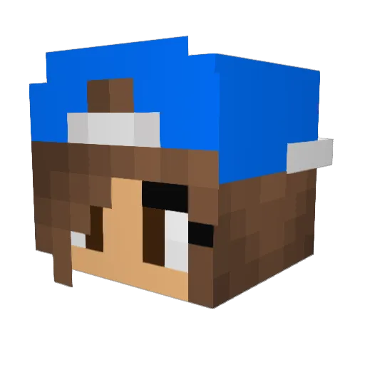 tmscags Minecraft avatar head, 3D render