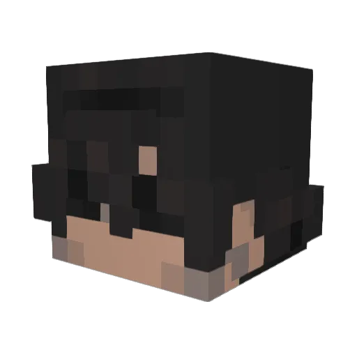 tmshlldd Minecraft avatar head, 3D render