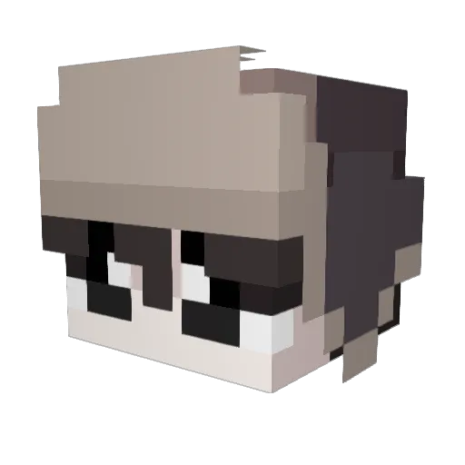 tmuna Minecraft avatar head, 3D render