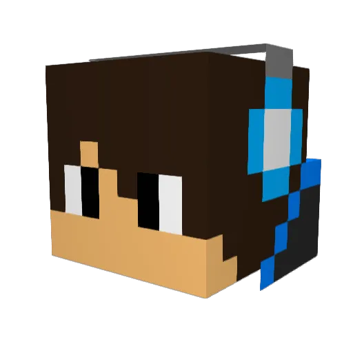 tmy08 Minecraft avatar head, 3D render