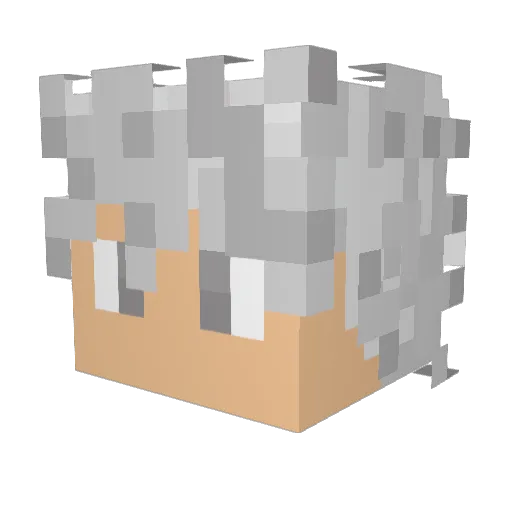 tmzzz__ Minecraft avatar head, 3D render