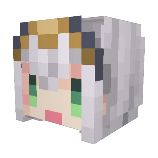 tnamha Minecraft avatar head, 3D render