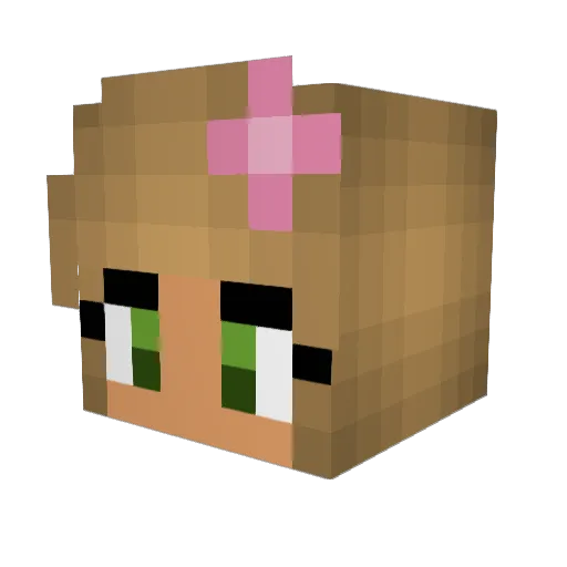 tnbd12 Minecraft avatar head, 3D render