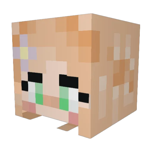 tncav Minecraft avatar head, 3D render