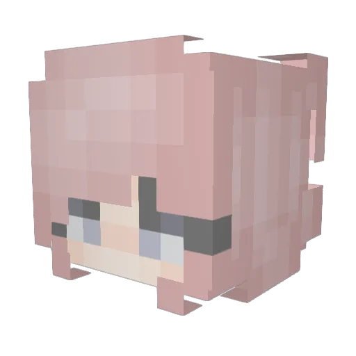 tndus03 Minecraft avatar head, 3D render