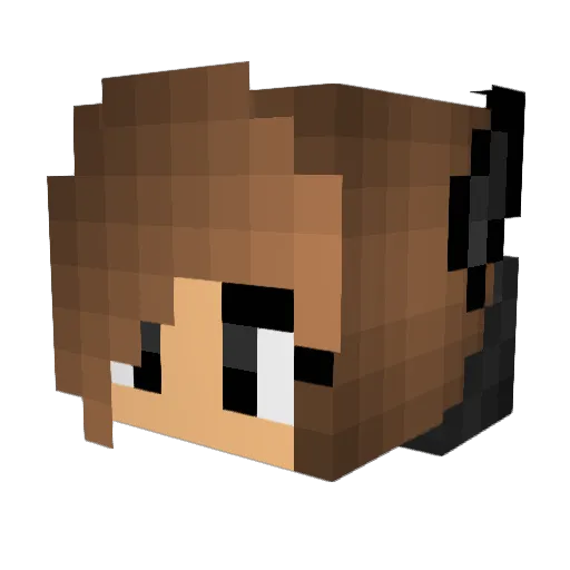 tndus5497 Minecraft avatar head, 3D render