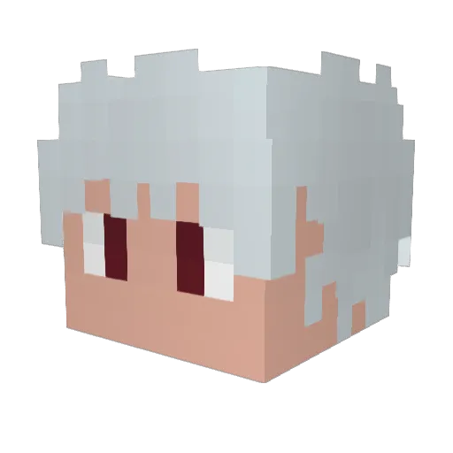 tnedii Minecraft avatar head, 3D render