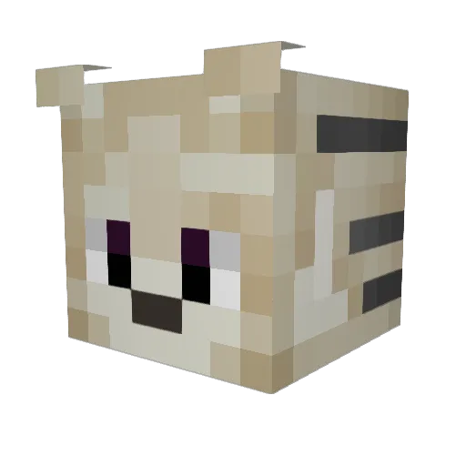 tng018 Minecraft avatar head, 3D render