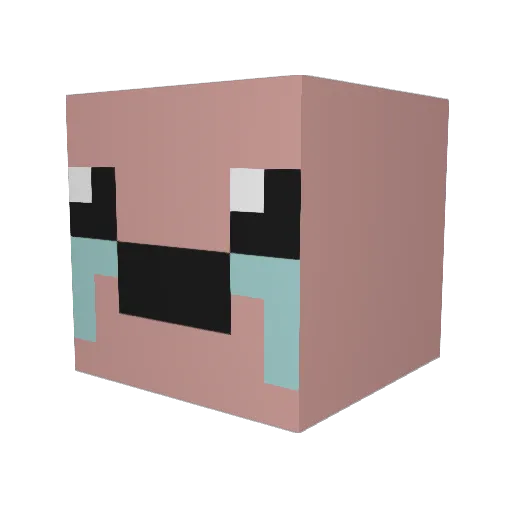 tng9877 Minecraft avatar head, 3D render
