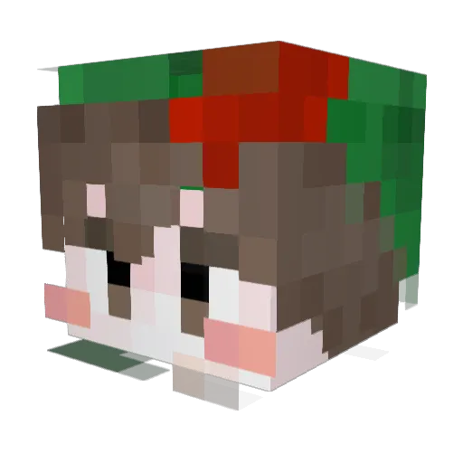 tngus09_ Minecraft avatar head, 3D render