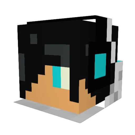 tnpatrick Minecraft avatar head, 3D render