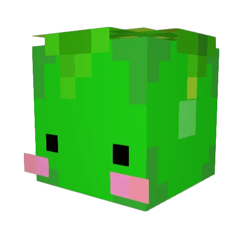 tnsDzon Minecraft avatar head, 3D render