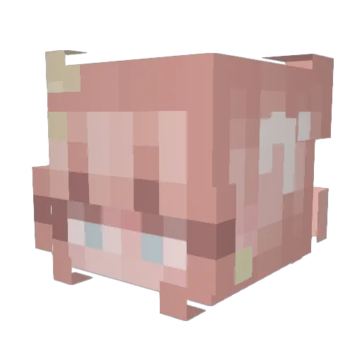 tnsheep Minecraft avatar head, 3D render