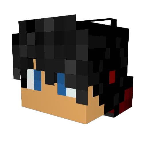 tnssl1125 Minecraft avatar head, 3D render
