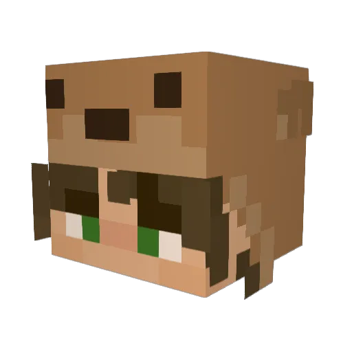 tnt0127 Minecraft avatar head, 3D render