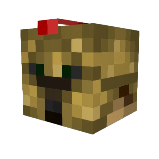 tnt911 Minecraft avatar head, 3D render