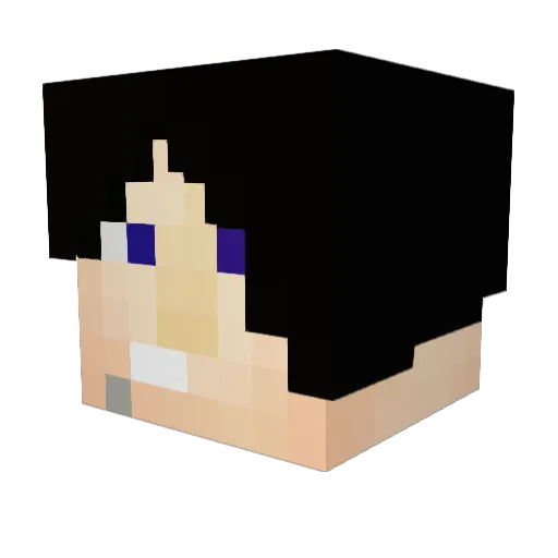 tnt_master03 Minecraft avatar head, 3D render