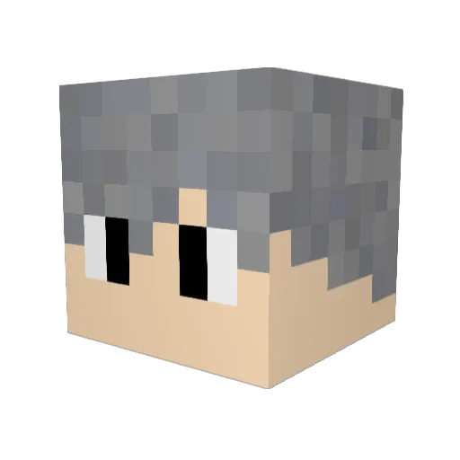 tntscorpion123 Minecraft avatar head, 3D render