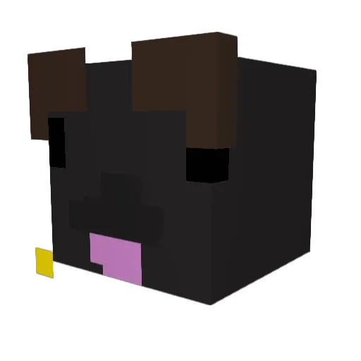 to0kil Minecraft avatar head, 3D render