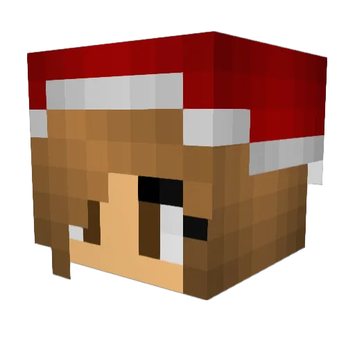 to_boss16 Minecraft avatar head, 3D render