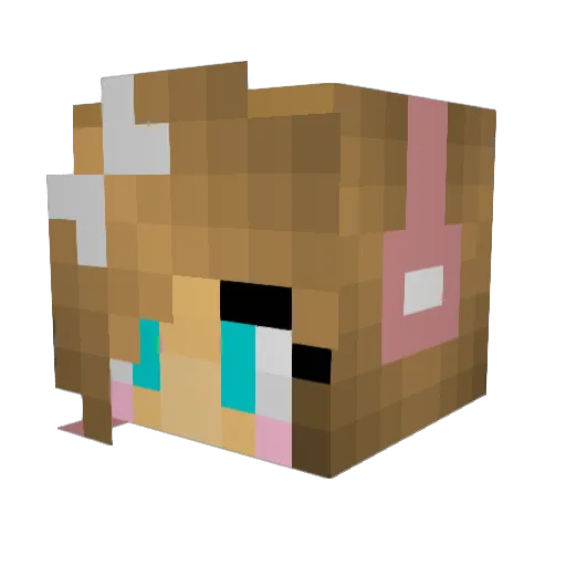 to_fye_for_you Minecraft avatar head, 3D render