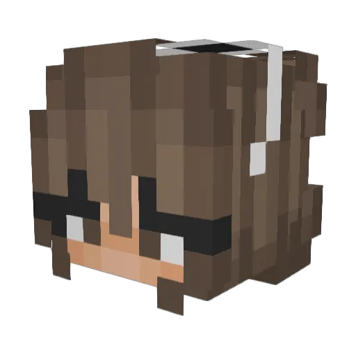 to_hot_for_you Minecraft avatar head, 3D render