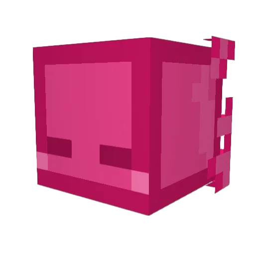 toad294 Minecraft avatar head, 3D render