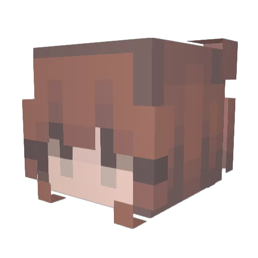 toad8930 Minecraft avatar head, 3D render