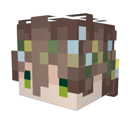 toad_stones Minecraft avatar head, 3D render