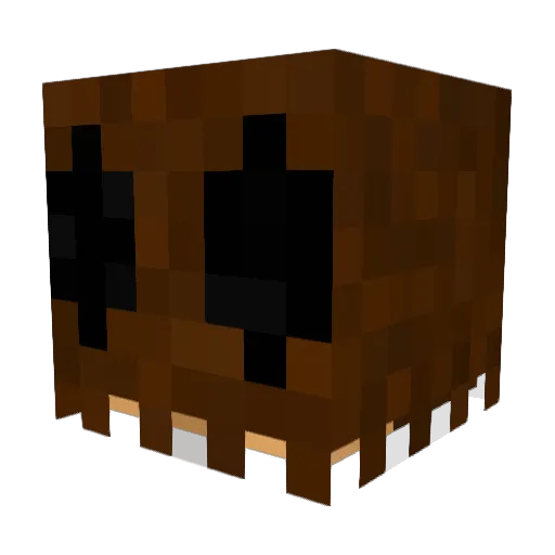 toadanimator_575 Minecraft avatar head, 3D render