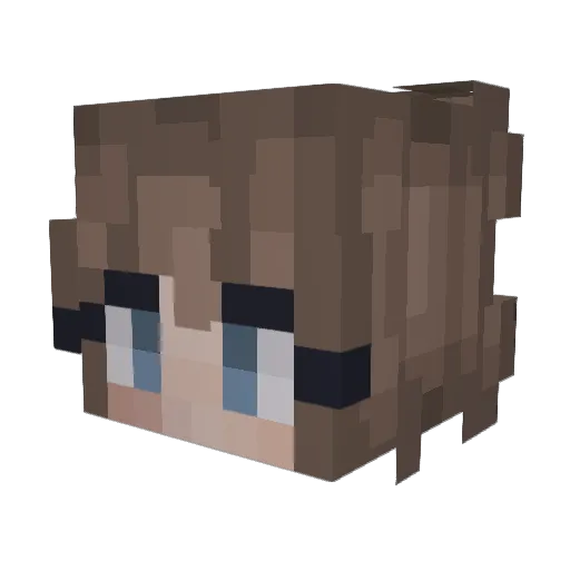 toadcheese Minecraft avatar head, 3D render