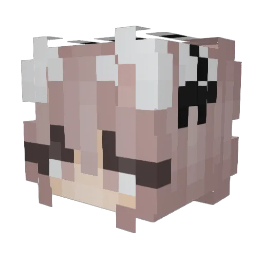 toadhe Minecraft avatar head, 3D render