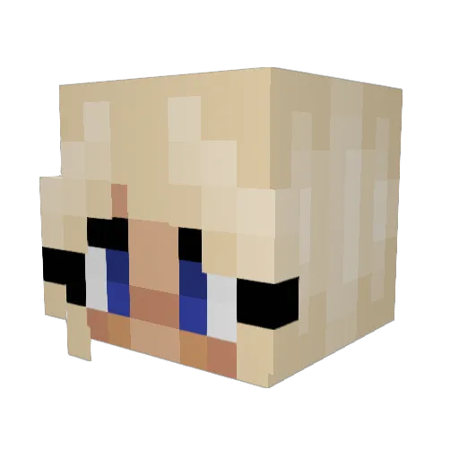toadinacoat Minecraft avatar head, 3D render