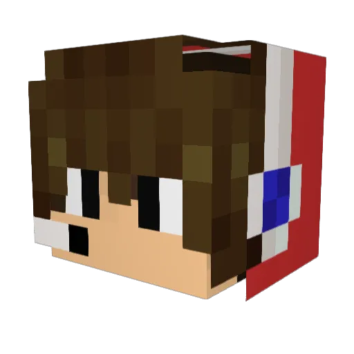 toadtony Minecraft avatar head, 3D render