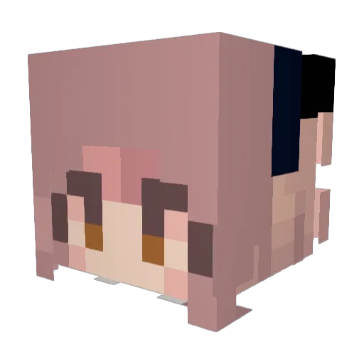 toadytoadytoady Minecraft avatar head, 3D render