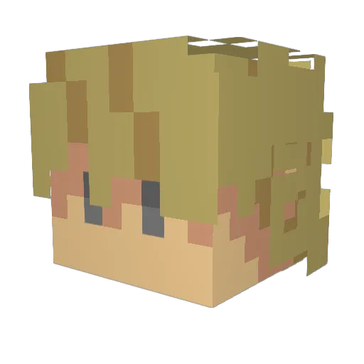 toaken Minecraft avatar head, 3D render