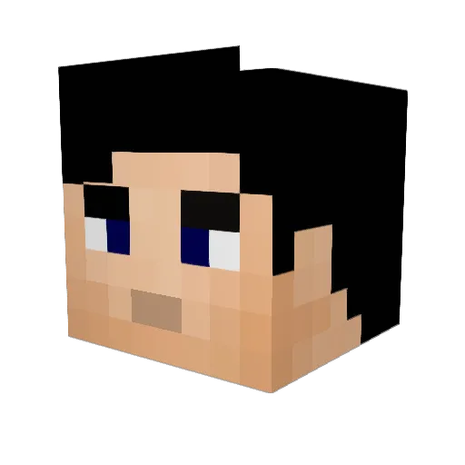 toaletamolekular Minecraft avatar head, 3D render