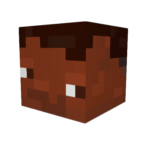 toalman33 Minecraft avatar head, 3D render