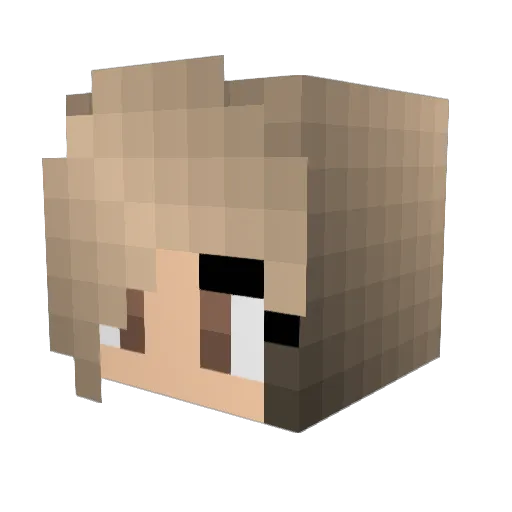 toast4toast Minecraft avatar head, 3D render