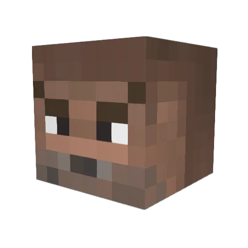 toast580 Minecraft avatar head, 3D render