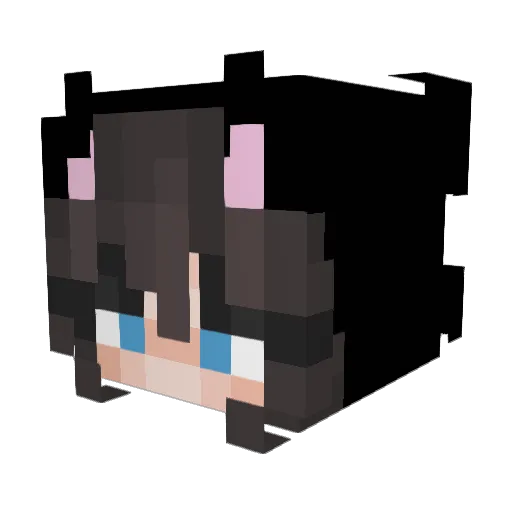 toastOAO Minecraft avatar head, 3D render